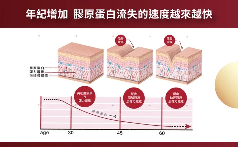 膠原蛋白 肌膚改善 